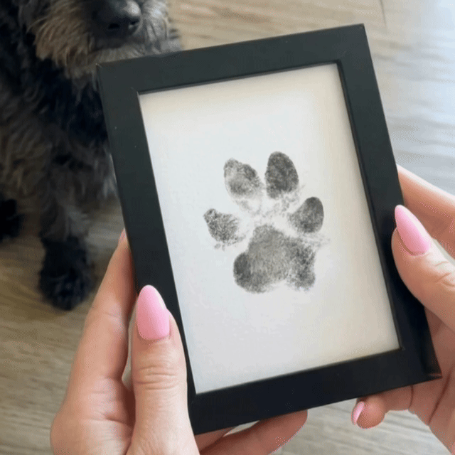 💜Abyś zawsze mógł trzymać je za łapki – Zestaw do odcisku łapy 🐾 Pamiątka upamiętniająca pupila